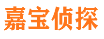 宜川侦探公司